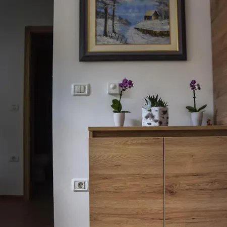 Hisa Bohinc Z Wellnessom