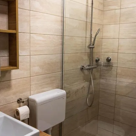 Hisa Bohinc Z Wellnessom Holiday home *